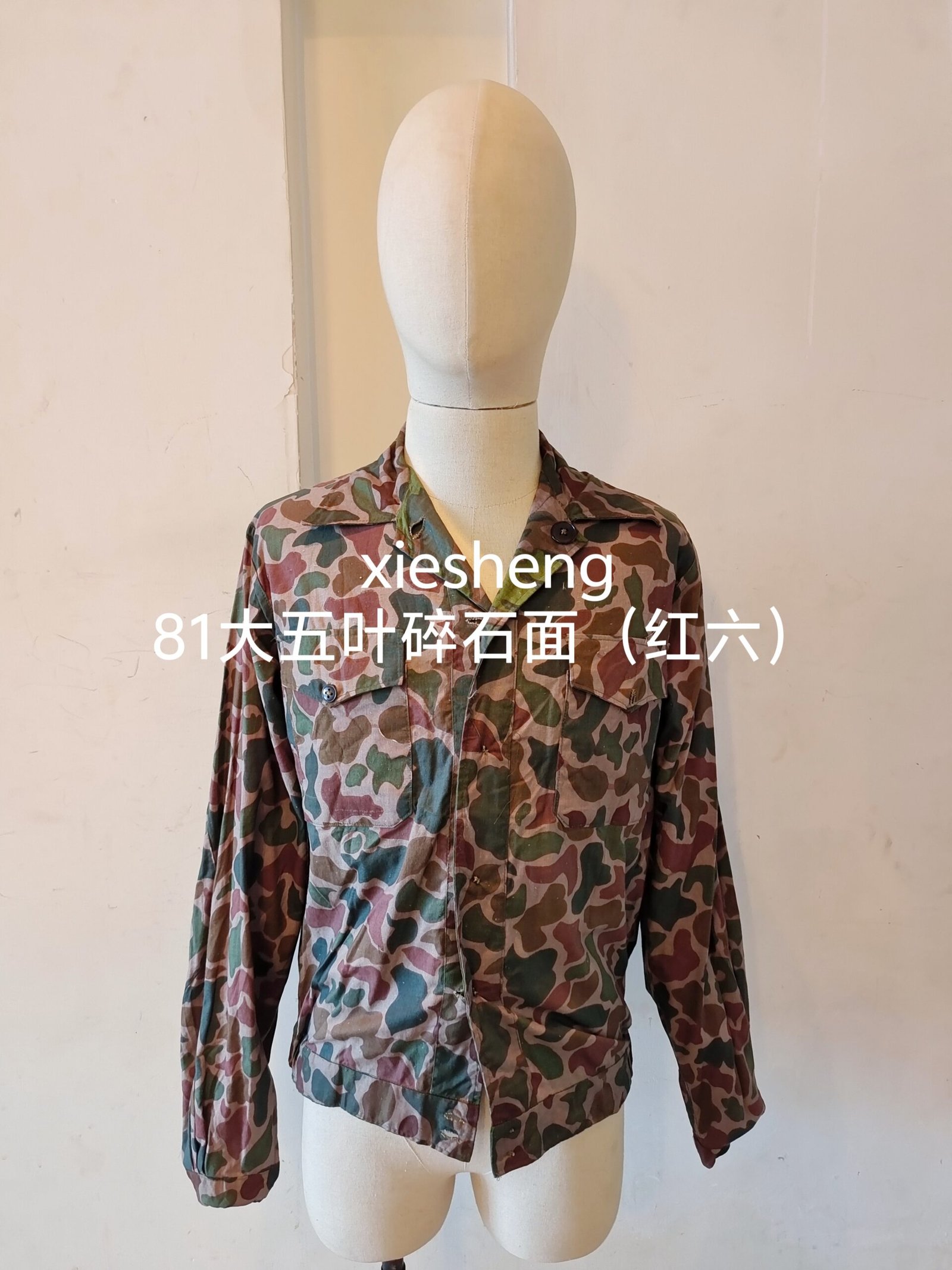 PLA 81系列实验迷彩 PLA 81 series experimental camouflage - 图片 3