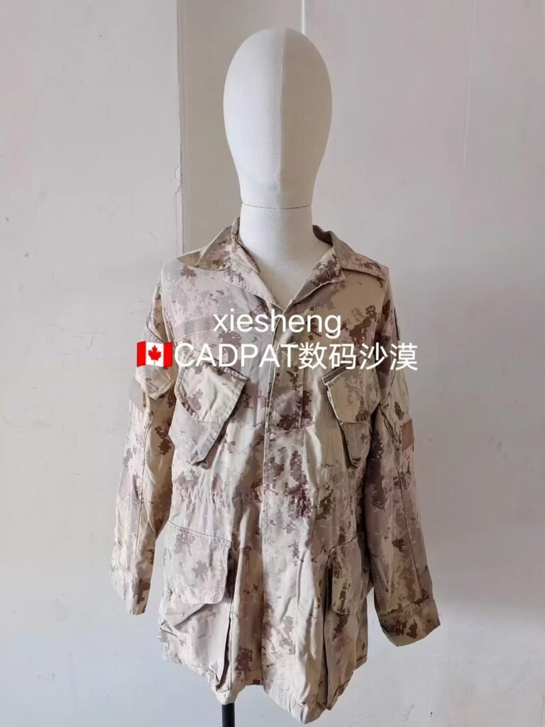 加拿大数码沙漠 Canadian Pixel desert